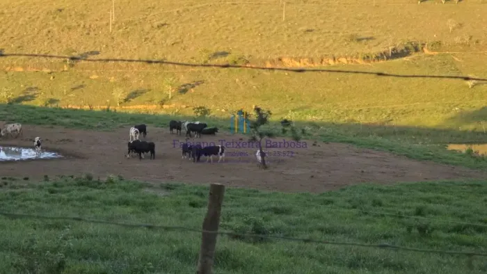 Fazenda à venda com 21 milhões de m2 à venda em Goianá - MG toda em Braquiária por R$ 3,88