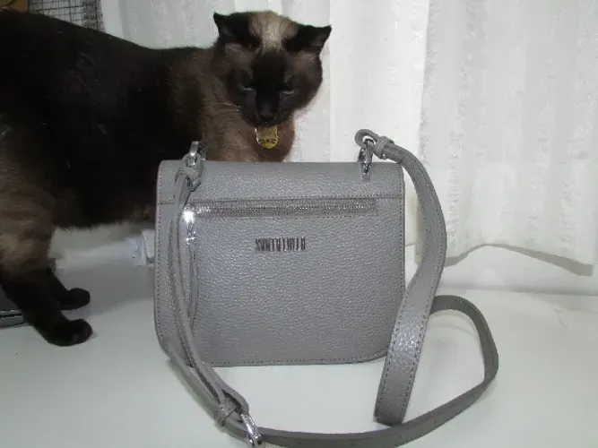 Bolsa Pequena Couro Floater Cinza com Alça Transversal e Bolso Frontal