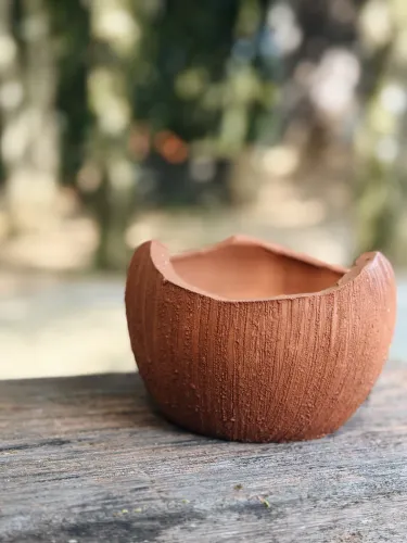Vaso coco quebrado 