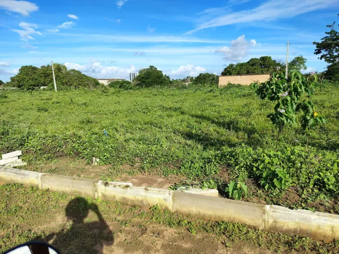 Vende-se dois terrenos um ao lado do outro no Papagaio ( Parque Borely ) 