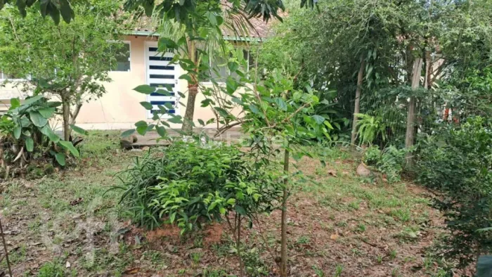 Casa à venda Rua Pau de Canela, Rio Tavares - Florianópolis