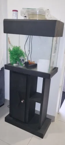 Aquário com 40 litros
