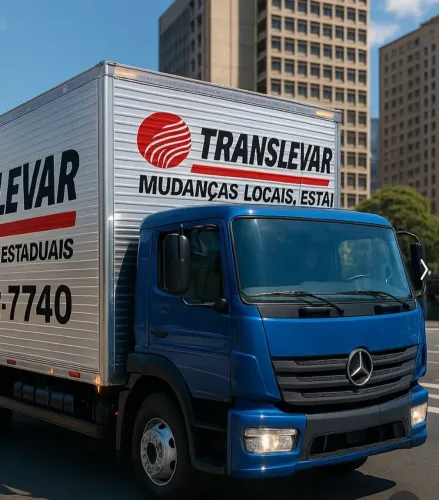 Transportes em geral e guarda móveis