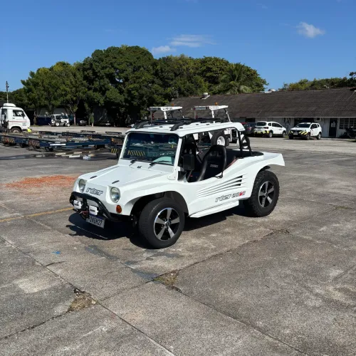 Fyber Buggy 2000w 1.6 8V 2019