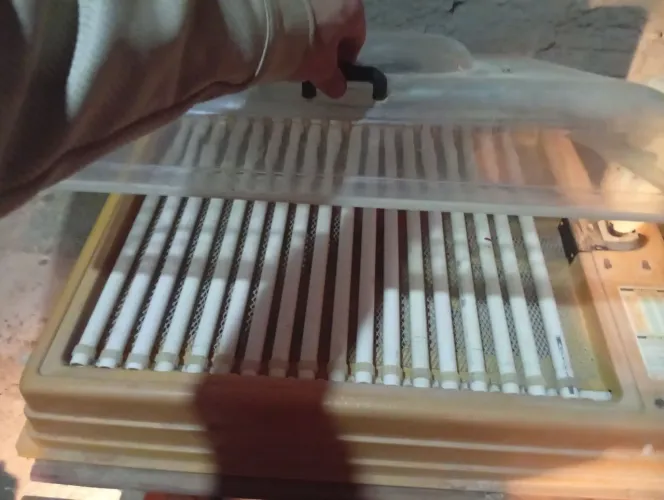 Vendo chocadeira prêmio ecológica de 130 ovos,valor 1.000 reais!!