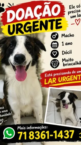 Doação