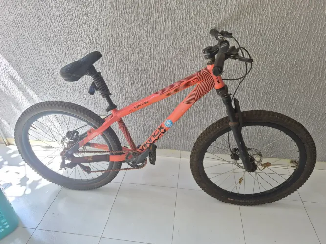 Bicicleta 
