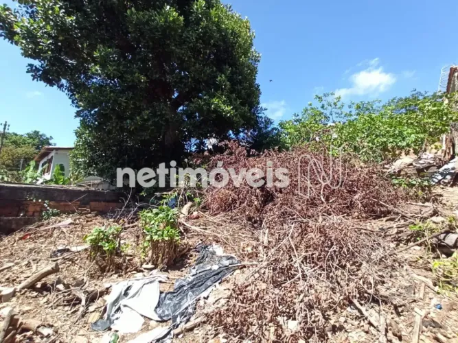 LOTE/ÁREA/TERRENO À VENDA NO BAIRRO POMPÉIA.