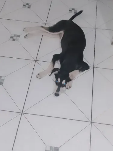 Para doação