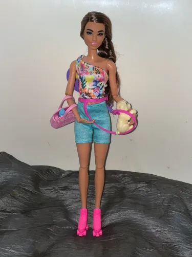 Boneca Barbie fashionistas passeio