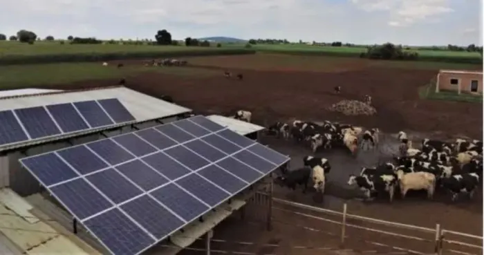 Técnico e Auxiliar de Instalador Módulos Fotovoltaicos.
