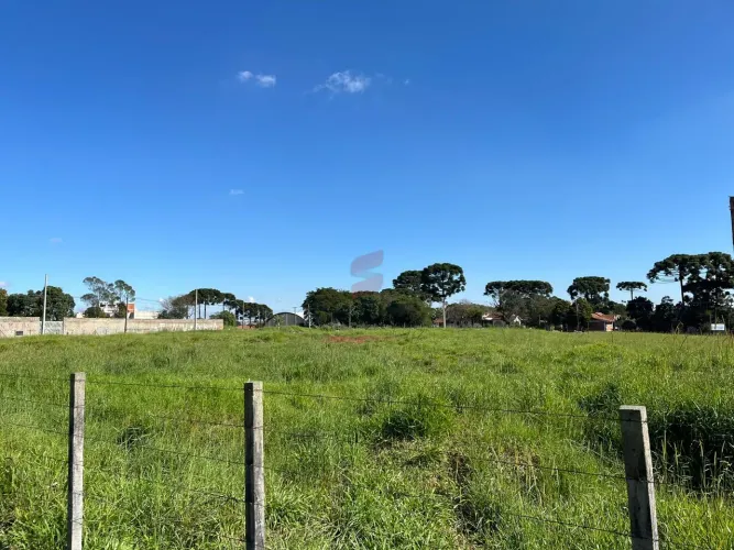 ÁREA à venda com 5513.17m² por R$ 8.269.755,00 no bairro Centro - PINHAIS / PR