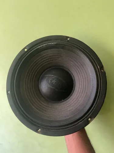 Médio snake 300 rms