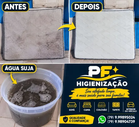 Limpeza de estofados em geral