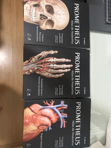 Livro Atlas de Anatomia Prometheus 4 edição Impecável