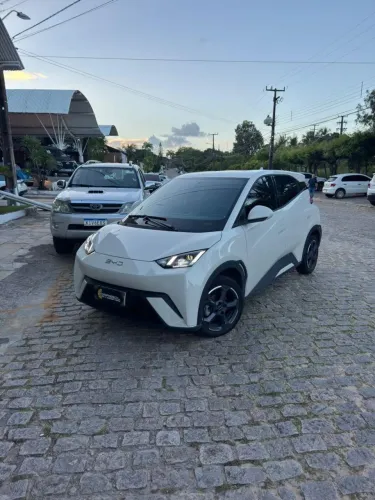 BYD Dolphin Mini (Elétrico) 2025