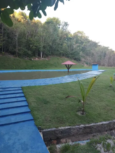 Sítio top na AM-010, km 114 + 800m ramal R$ 900mil documentado