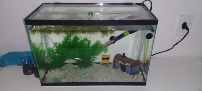 AQUARIO 27LITROS NOVO LEIA A DESCRIÇÃO