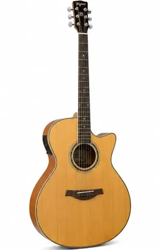 VIOLÃO TAGIMA - WOODSTOCK SERIES TW29
