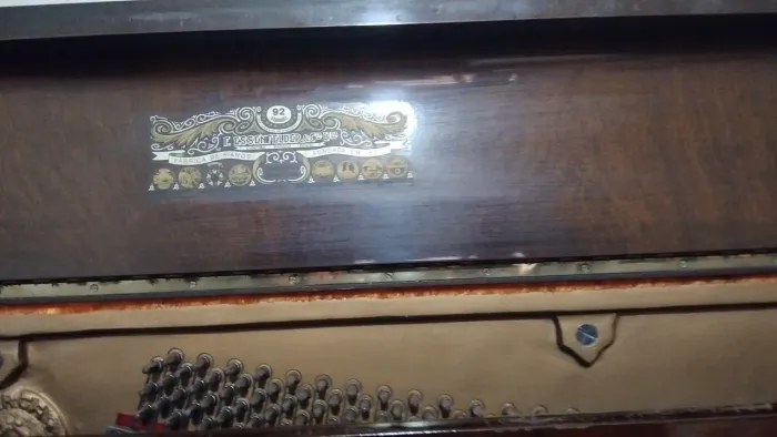 Piano essenfelder