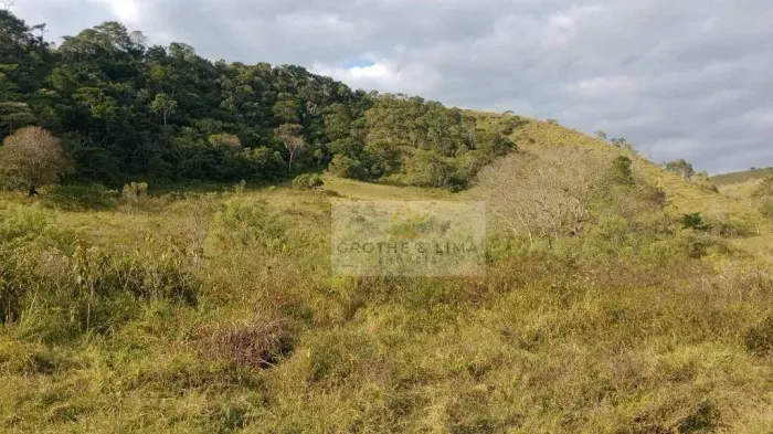Chácara à venda, 20000 m² por R$ 190.000,00 - Taboão - Taubaté/SP