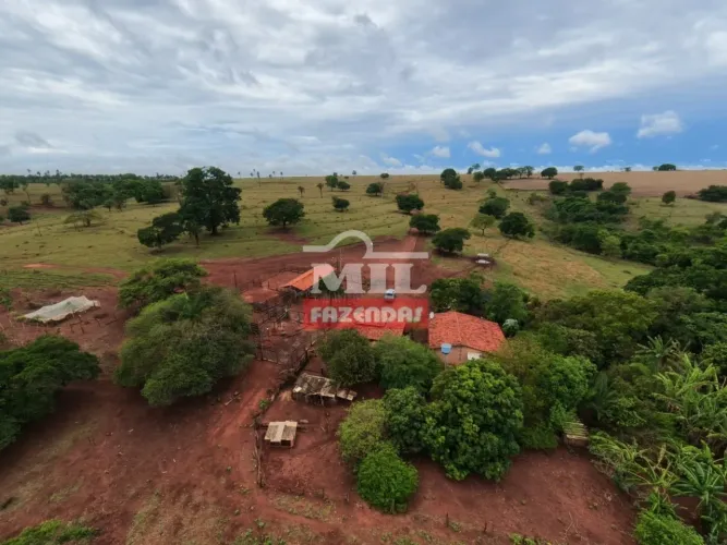 Fazenda 33 Alqueires (159,72 Hectares) Firminópolis - GO