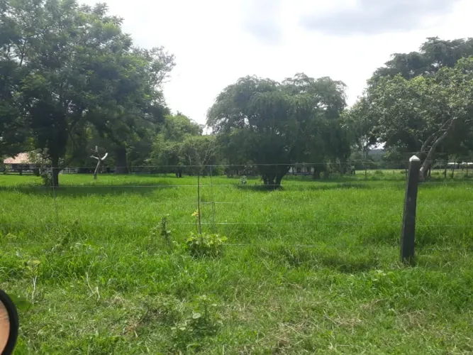 Fazendinhas 20.000m2 Financiadas Com Lagoa nos fundos e terra de Cultivo Região De Sete La