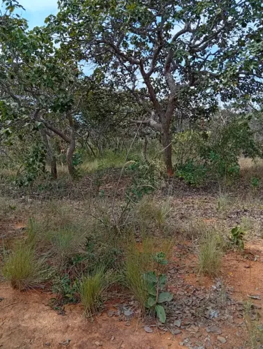Imóvel para venda tem 1000 metros quadrados em Centro - Santana do Riacho - MG