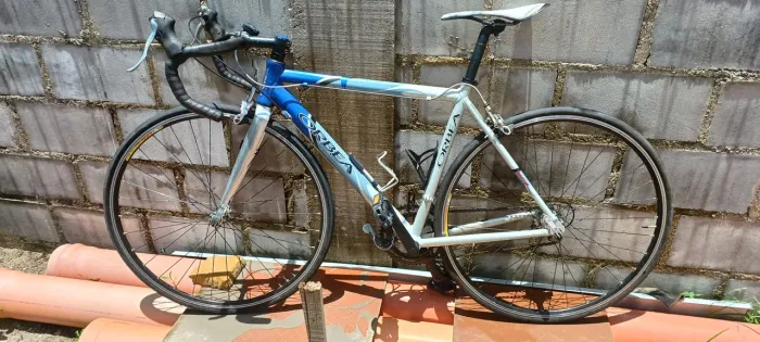 Bike speed Orbea