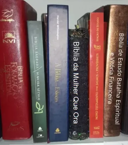 BÍBLIAs de Estudo = 5 BÍBLIAs