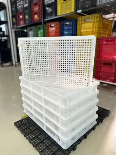 Caixas para Salgados de plástico 