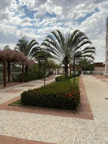 Aluguel - Salas Comerciais - Parque Euclides Miranda - Sumaré - SP