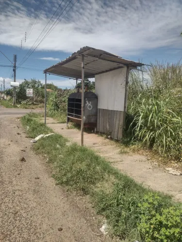 Vendo esse ponto pra frango