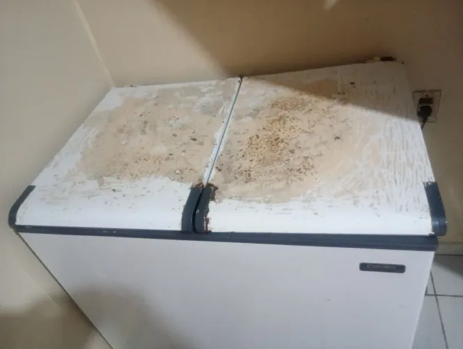 Freezer de 2 porta