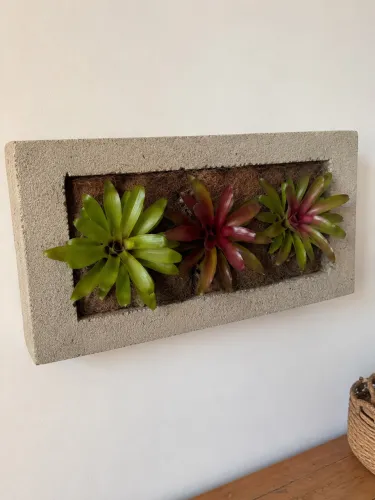 Painel Jardim Vertical de Parede em pedra pomes para Bromélias - com Xaxim