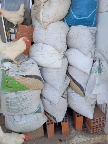 Cama de galinhas saco meiota
