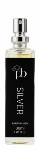 Perfume Silver Melhor inspirado em silver scent masculino