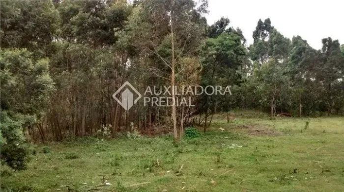TERRENO EM SÃO BERNARDO DO CAMPO NO COOPERATIVA