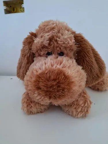 Ursinho cachorrinho