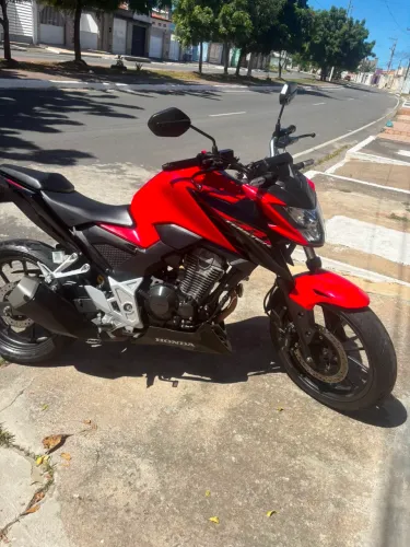 Moto Twister 23/24