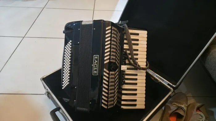Acordeon Sanfona