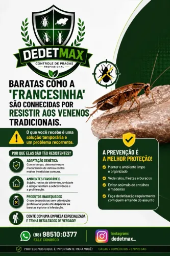 DEDETIZADORA DEDETMAX SERVIÇOS