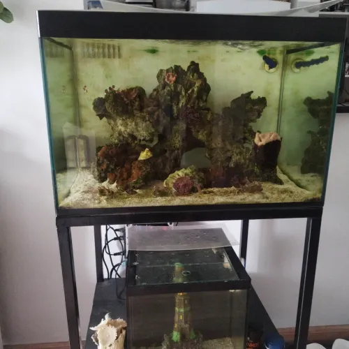 Aquário cubo 120L C/ sump traseiro 60x50x40