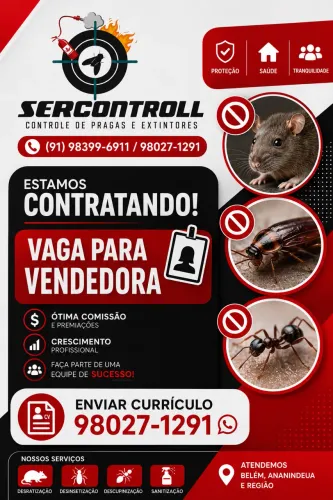 VENDEDORA INTERNA