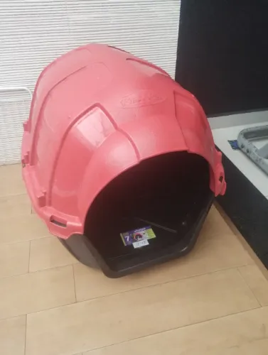Casinha de cachorro ?