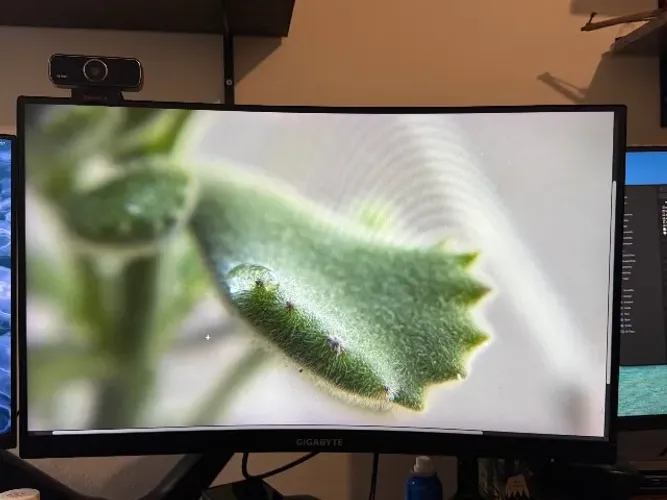 Monitor Gamer Gigabyte G27FC 27" Curvo 165 Hz