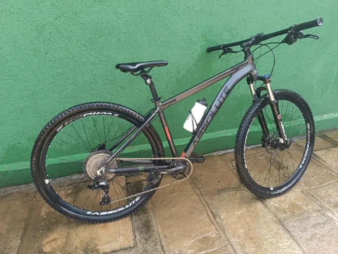 Bicicleta absolut wild