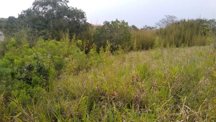 Lote no Aretê Búzios de 1.230  m² Vista para o Campo de Golfe - Buzios - Armação dos Búzio