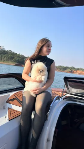 Lulu anão  ursinho pedigree Cbkc