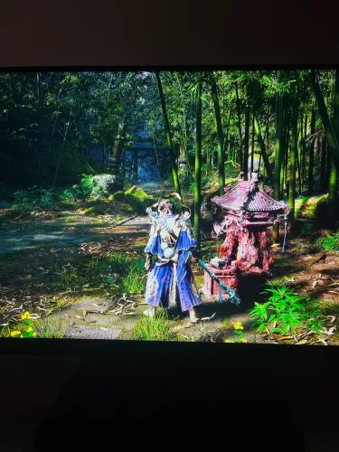 MONITOR GAMER